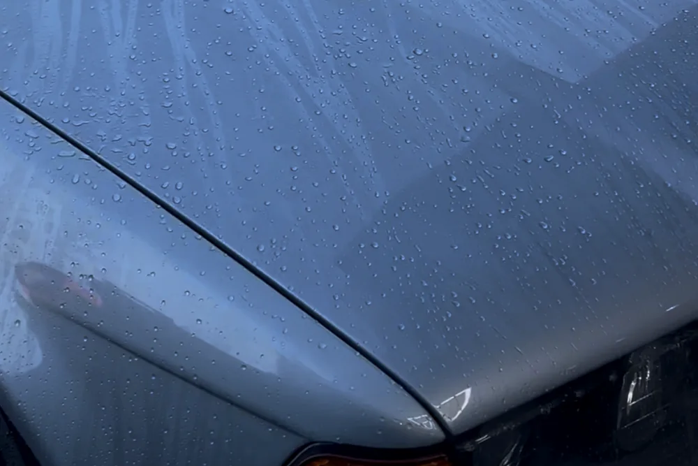 Water standing in beads across the bonnet and wing of a coated car after rinsing